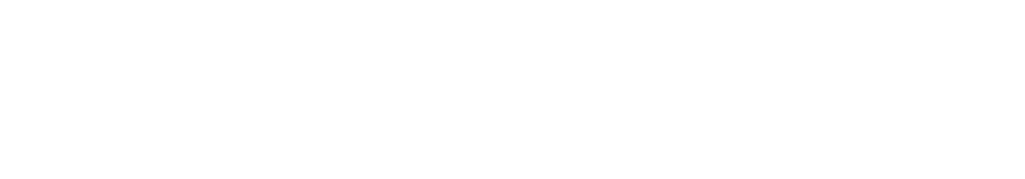 Gigi Gelashvili - Digital Marketer | Digital Marketing Course